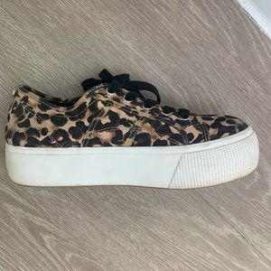 Cheetah Steve Madden platform sneakers
